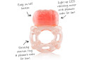 BOG_Specs