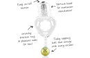 BONG_Specs