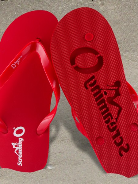 FlipFlops_01