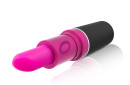 LIP_101_D